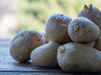 Δώστε μεγάλη προσοχή: Μπορούμε να φάμε τις πατάτες που έχουν βλαστήσει; – Ομορφιά & Υγεία