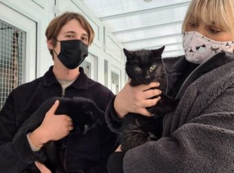 Μια Υιοθεσία Που Δίνει Ελπίδα: 21Χρονών Γάτες Αδέρφια Υιοθετούνται Μαζί Και Στέλνουν Μήνυμα Για Όλα Τα Ηλικωμένα Ζωάκια (pics)