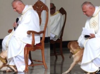 Σκύλος Μπαίνει Στην Εκκλησία Και Ο Ιερέας Κάνει Μαζί Του Την Λειτουργία!