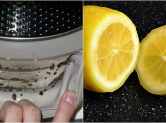 Μυρωδιά μούχλας στο πλυντήριο; Εξαφανίστε την με λίγο λεμόνι σε συνδυασμό με άλλα 3 υλικά – Σπίτι