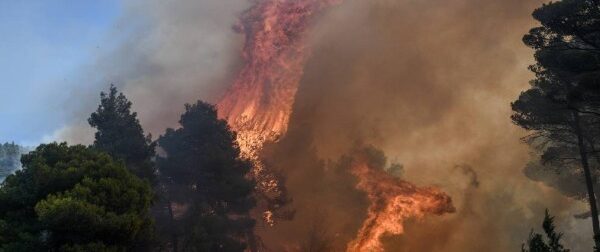 Φωτιά στον Έβρο: Οι πολύ δυνατοί άνεμοι δυσχεραίνουν την κατάσβεση – Ενισχύθηκαν οι πυροσβεστικές δυνάμεις