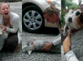 Συγκινήθηκε ο σκύλος: Γυναίκα κηδεμόνας σκύλου επιστρέφει σπίτι μετά από 2 χρόνια στο εξωτερικό – Η αντίδραση του σκύλου της (vid)