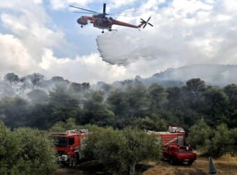 Φωτιά στην Ηλεία – Καίγεται αγροτοδασική έκταση
