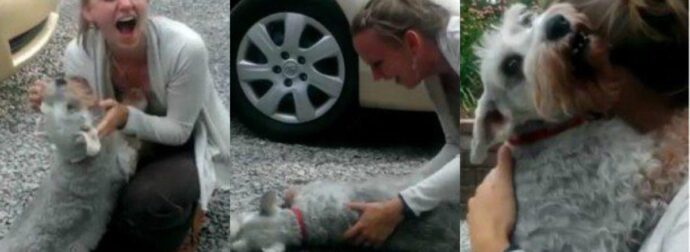 Η αντίδραση που δεν περίμενε: Γυναίκα επιστρέφει σπίτι μετά από 2 χρόνια στο εξωτερικό και ο σκύλος λιποθυμάει από χαρά (vid)