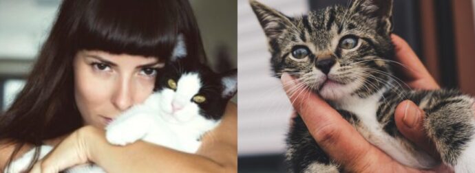 Η Θεραπεία της Γάτας: Τα 5 άγνωστα οφέλη των ανθρώπων που ζουν με μια γάτα, οι θετικές επιπτώσεις και οι έρευνες