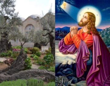 Γεσθημανή: Έτσι είναι σήμερα το τελευταίο μέρος που προσευχήθηκε ο Χριστός πριν την Σταύρωσή του