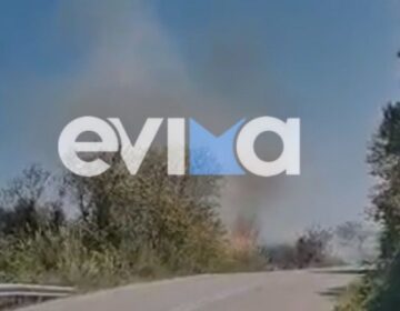 Δύσκολη μέρα για την Εύβοια: Φωτιά ξέσπασε στο νησί μετά τον πρωινό σεισμό (video)