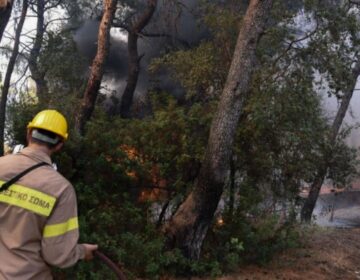 Συναγερμός στην Πυροσβεστική: Φωτιά τώρα στην Περιφερειακή Αιγάλεω