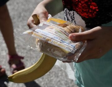 Λαμία: Μαζική τροφική δηλητηρίαση μαθητών από σχολικά γεύματα – Ξεσπούν οι γονείς